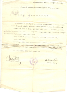 Hungarian Document